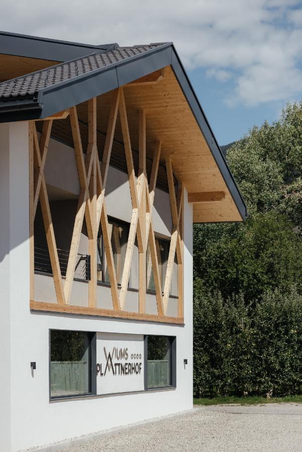 Plattnerhof Viums Apartment Natz-Schabs Екстериор снимка